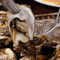 당일배송 통영 세척 석화 굴 5kg 10kg 하프셀 가리비, 2-2. 하프셀 2단