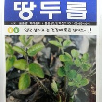 [가람종묘사] 땅두릅 씨앗(입맛 살리고 눈 건강에 좋은 산야초)