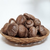 산지직송 무농약 생표고버섯 1kg, 흑화고1kg, 1개