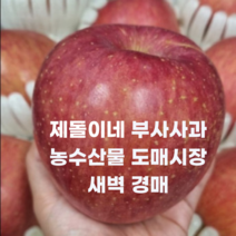 부사사과 5kg 농수산물 도매시장 새벽경매 직배송 꿀사과 정품사과 선물용사과, 정품사과 5kg (15과 내외)