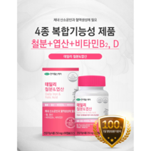 철분엽산 천연철분제 철분엽산비타민d 헴철