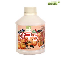 맛있는(무배) 차그림 농축과일원액 살구 원액 850ml사무실 대용량 업소용 식당용 간식 소스, 상세페이지 참조, 상세페이지 참조