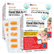 미국 코랄 이가 포르테 골드 60정x3개 프로폴리스 코랄칼슘 비타민CD 브로멜라인 리소짐, 90g, 3통, 60정