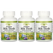 내추럴팩터스 Natural Factors 밀크씨슬 파이토솜 160mg 60베지캡슐 3개 밀크시슬 실리포스 SPC 실리빈 포스파티딜 콜린