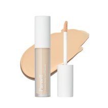 파넬 시카마누 스킨핏 커버 컨실러 5g 21호23호, 컨실러 21호 1개