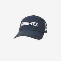 팔라스 고어텍스 6-패널 캡 네이비 - 22FW Palace Gore-Tex 6-Panel Navy 22FW213360