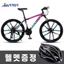 세계일주 MTB 자전거 24단 90% 완조립 배송 기계식디스크브레이크, 162cm, H4