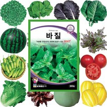 허브씨모음 허브씨앗 유칼립투스씨앗 바질씨드 라벤더씨앗 페퍼민트 스테비아 레몬밤, 1024 유칼립투스 10립