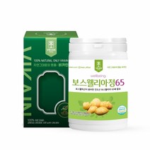 비카인 보스웰리아 타정 65 120정 인도산 보스웰릭산