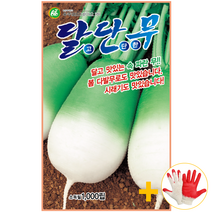 달단무 김장무 씨앗 1000립 + 열매팜 작업장갑