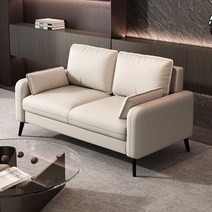 헤이바이 작은 거실 미니멀 쇼파 2인용 3인 북유럽 호텔 푹신한 가성비 선물, C