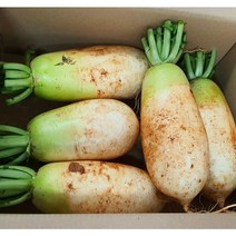 전라도 황토 무우 김장무우 7~14kg, 황토무우(5-7종)총6~7kg내외