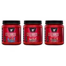 BSN 노익스 셀매스 헬스부스터 495g 블루레즈베리/아틱베리/수박 Cell Mass, CELLMASS 아틱베리