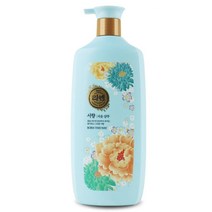 리엔 헤어케어 자윤 본디스웨이 서향 샴푸 950ml, 1