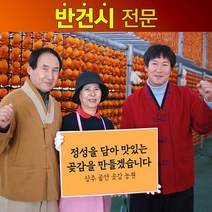 상주 곶감 반건시 20개 30개 40개 선물세트 상주골안곶감농원, 40g 30개, 40g