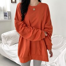 데일리앤 여자 데일리 롱 빅사이즈 맨투맨 에이드