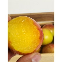 하우스 대석 자두 왕자두 생자두 김천 500g 1kg CS생활건강, 1kg(70g이상), 1개