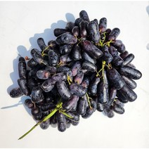 프리미엄 블랙사파이어 포도, 800g 5팩