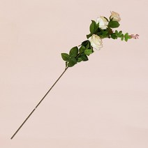 PGM*^몰백장미 장식용 조화 실내조경 미니 실내품 용조와 인테리어소품 카페 정원 환경꾸미기 장식품 집꾸미기 인태 꽃인^*췤pgm, a^*옵션없슴