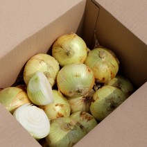 항채원 달큰아삭 신선한 국내산 햇양파 특대(350g이상) 당일선별 망포장 오늘출발, 1개, 특대1.5kg