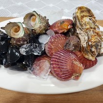 국내산 모듬조개세트 캠핑용 2kg, 4kg