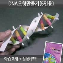 X-SCIENCE DNA모형만들기 5인용재료+교재5권+실험동영상 생물실험세트