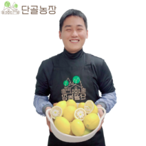 제주 레몬 새콤달콤 달콤함까지 품은 신품종 제라몬 레몬, 제라몬 / 3kg / 15~24과내외