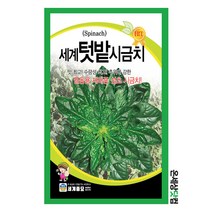 세계텃밭시금치 40g / 시금치씨앗 시금치씨 월동시금치, 400g