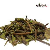 SC1 겨우살이 100g 국내산