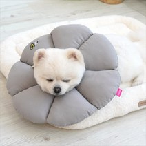 소형견용 수술 상처후 목보호 강아지넥카라 고양이넥카라 상처보호 중형견