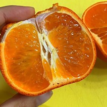 청정 제주감귤 고당도 동백향 홍매향 미하야 3kg 6kg 9kg