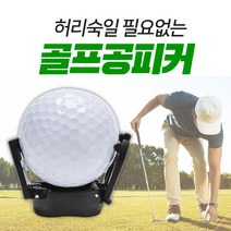 볼픽업 골프공 수거 공집게 회수 퍼터 용품 공줍기, 블랙