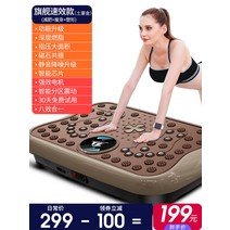 음파운동기 진동운동기, 플래그십갈색[다이어트+다이어트+지방연소]