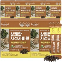 아임뉴트리 상쾌한 차전자피환 차전자피 식이섬유, 135g, 6박스