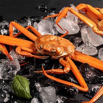 [자연맛남] 포항 구룡포 박달홍게 3마리(소/1미당 300-400g), 단품