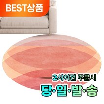 딜리퍼 원형 추상 러그 단모 대형 러그 80*80cm
