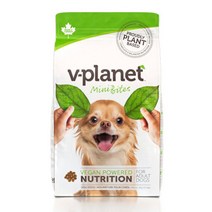 브이플래닛 미니바이트2kg