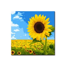 DIY캔버스페인팅 명화그리기 유화 세트 그림 액자, E39_하늘바라기