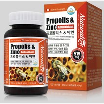 캐나다 프로폴리스 아연 이뮨 항산화 프로폴리스 알약 폴리폴리스 516mg 90캡슐