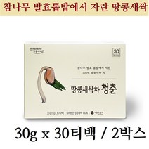 땅콩새싹차 청춘 레스베라트롤 아스파라긴산 올레인산 참나무 발효톱밥 재배방법 30티백X2박스