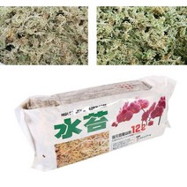 희귀 비싼 다육이 마술 화분 그루트화분 가오갤 콩분 슬릿분 다육이콩분 블루베리 슬릿분물이끼 정원 공급 보습 영양 난초 비료 유기 호접란