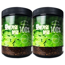 헬로우 그린 모링가 잎 파우더 분말 가루 180g, 2개 180g*2