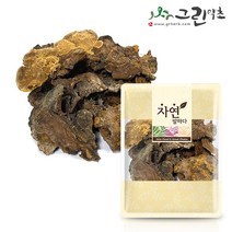 자연산 찔레버섯 150g 찔레상황버섯, 2개