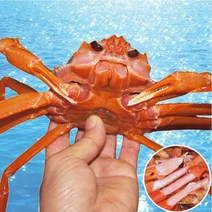 [장군수산] 속초 홍게 실속형 3kg 외 고급형 명품형 찜 후 포장, 1box, 0A. 홍게 실속형 3kg( 찜후 포장 발송)