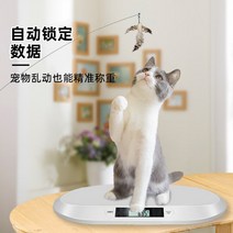 반려동물체중계 강아지 저울 고양이 동물병원 몸무게, 상세 페이지 참고, B