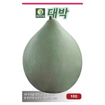 노각 오이 씨앗 50립 - 웰빙오이 늙은오이 오이씨앗 야채씨앗 채소씨앗 채소재배 종묘 종자 베란다 텃밭 씨 씨앗 호박 방울토마토 수박, 09_다농_대박(10립)