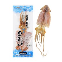 오징어 [대1마리-국내산]