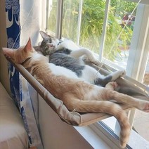 고양이 창문 해먹 캣타워 애완동물 침대 귀여운 편안한 써니 시트 창 마운트 제품 부드러운 선반 용품 분리형 베어링, 퍼플 플러스 쿠션