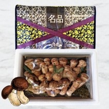 산지직송 무농약 프리미엄 참송이 송화버섯 혼합 선물세트 명설 설 구정 선물 추천, 선물세트 600g