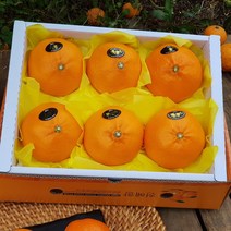 제주산지직송 천혜향 2kg(6-9수 대과)그윽한 향과 팡팡 터지는 과즙 품격있는 설과일선물세트, 3박스